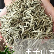 王子山贡茶普洱茶/2023041207359