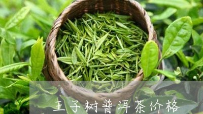 王子树普洱茶价格/2023041167372