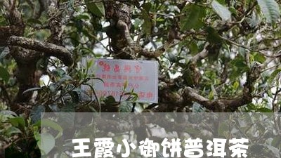 王霞小御饼普洱茶/2023033131593