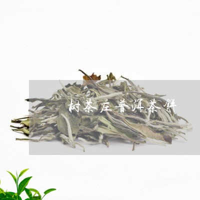 玥树茶庄普洱茶饼/2023040119714