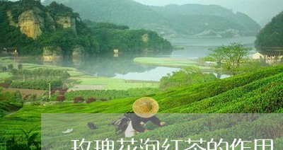 玫瑰花泡红茶的作用/2023032192724