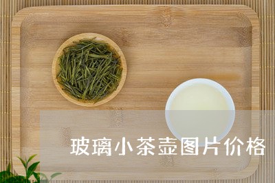 玻璃小茶壶图片价格/2023041761728