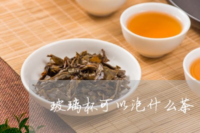 玻璃杯可以泡什么茶/2023041541736