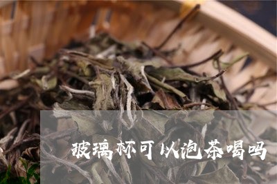 玻璃杯可以泡茶喝吗/2023032070483