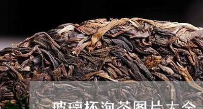 玻璃杯泡茶图片大全/2023041629391