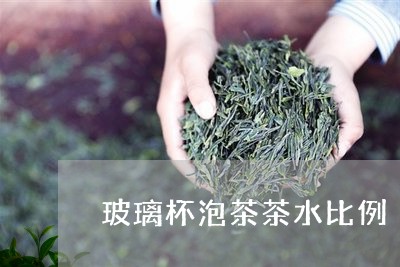 玻璃杯泡茶茶水比例/2023041615149