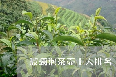 玻璃泡茶壶十大排名/2023041763938