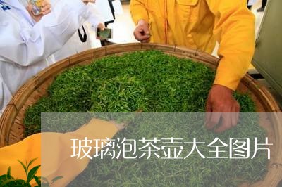 玻璃泡茶壶大全图片/2023032091614