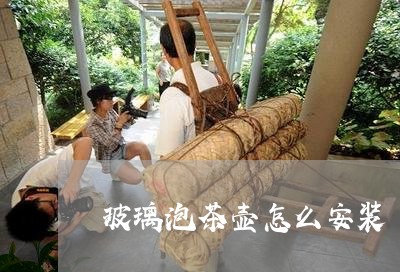 玻璃泡茶壶怎么安装/2023041699393