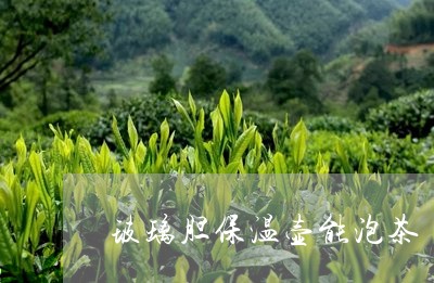 玻璃胆保温壶能泡茶/2023041603930