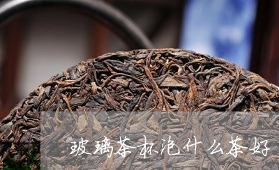 玻璃茶杯泡什么茶好/2023041578484