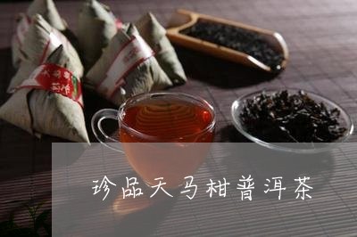 珍品天马柑普洱茶/2023041153059