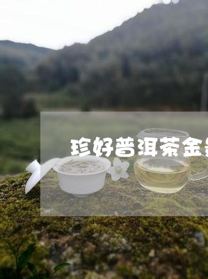 珍好普洱茶金景迈/2023033199593