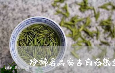 珍稀茗品安吉白茶铁盒图片/2023040952703