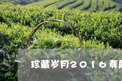 珍藏岁月2016寿眉价格/2023033093157