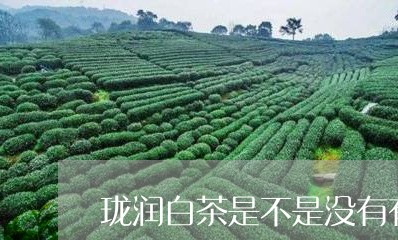 珑润白茶是不是没有有效期/2023040917359