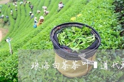 珠海白茶茶叶渠道代理招商/2023041201694