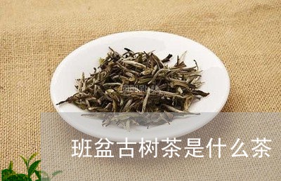 班盆古树茶是什么茶/2023032173816