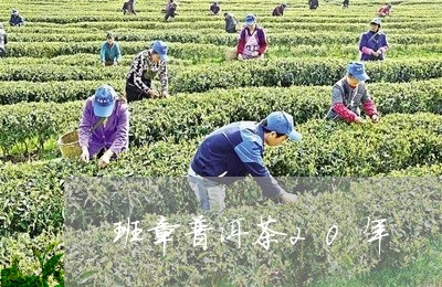 班章普洱茶20年/2023032933268