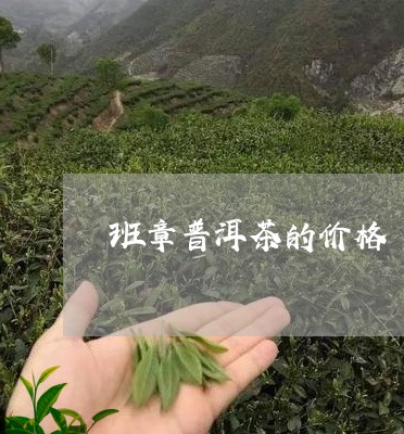 班章普洱茶的价格/2023031749382