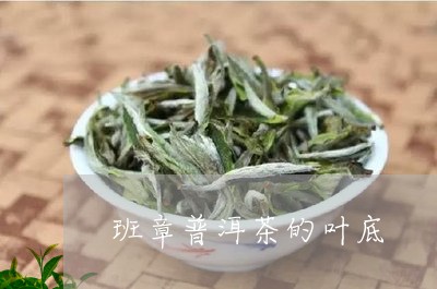 班章普洱茶的叶底/2023040113795