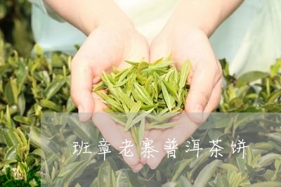 班章老寨普洱茶饼/2023041392917