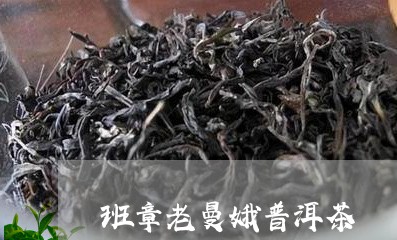 班章老曼娥普洱茶/2023041285351