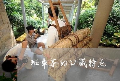 班章茶的口感特点/2023031809510