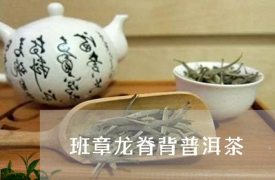 班章龙脊背普洱茶/2023031669836