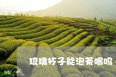 琉璃杯子能泡茶喝吗/2023041600593