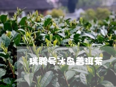 瑞聘号冰岛普洱茶/2023041386157