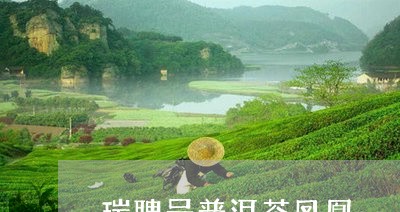 瑞聘号普洱茶凤凰/2023040146261