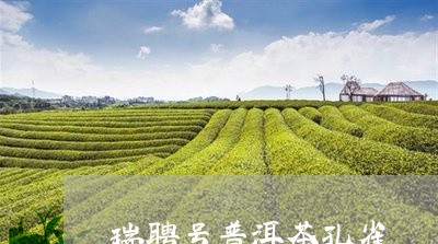 瑞聘号普洱茶孔雀/2023041120615