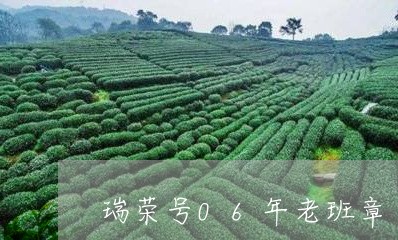 瑞荣号06年老班章/2023031956287