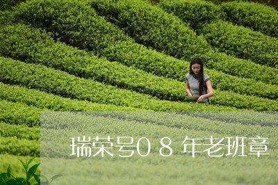 瑞荣号08年老班章/2023031914481