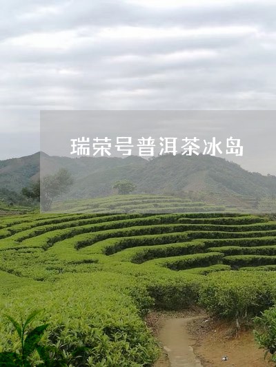 瑞荣号普洱茶冰岛/2023041365242