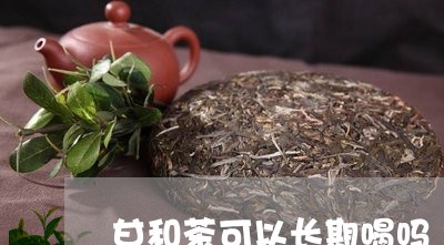 甘和茶可以长期喝吗/2023041482704