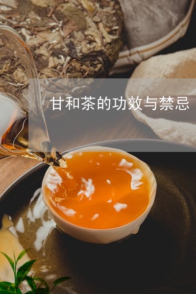 甘和茶的功效与禁忌/2023041653136