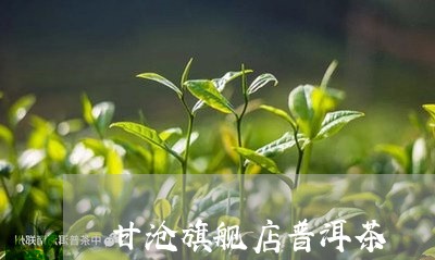 甘沧旗舰店普洱茶/2023033039470