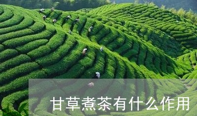 甘草煮茶有什么作用/2023041572504