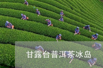 甘露台普洱茶冰岛/2023041300695