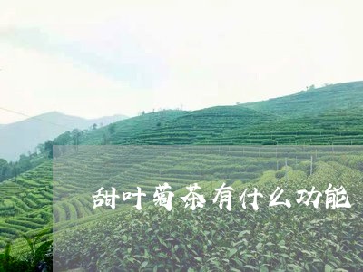 甜叶菊茶有什么功能/2023041581494