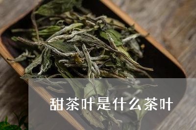 甜茶叶是什么茶叶/2023032758260