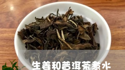 生姜和普洱茶煮水/2023041074360