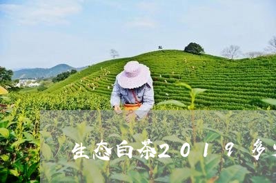 生态白茶2019多少一盒/2023033084262