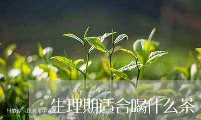 生理期适合喝什么茶/2023041544637