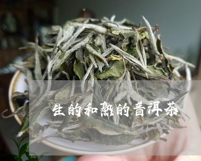 生的和熟的普洱茶/2023033124716