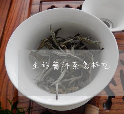 生的普洱茶怎样吃/2023040189504