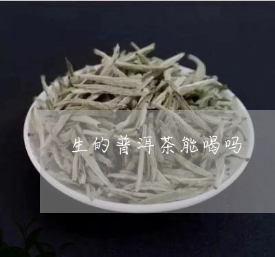 生的普洱茶能喝吗/2023033082937