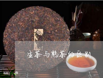 生茶与熟茶的区别/2023041397168